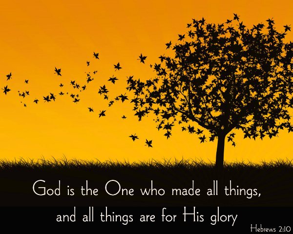 Hebrews 2:10 - God is the One who made all things, and all things are for His glory