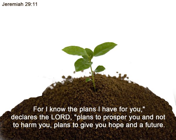 Jeremiah 29:11 - plans to prosper you and not to harm you, plans to give you hope and a future