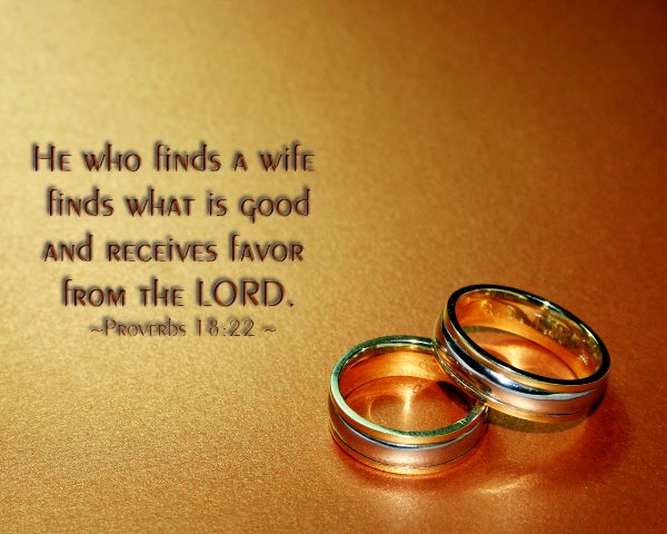 Proverbs 18:22 - He who finds a wife finds what is good and receives favor from the LORD