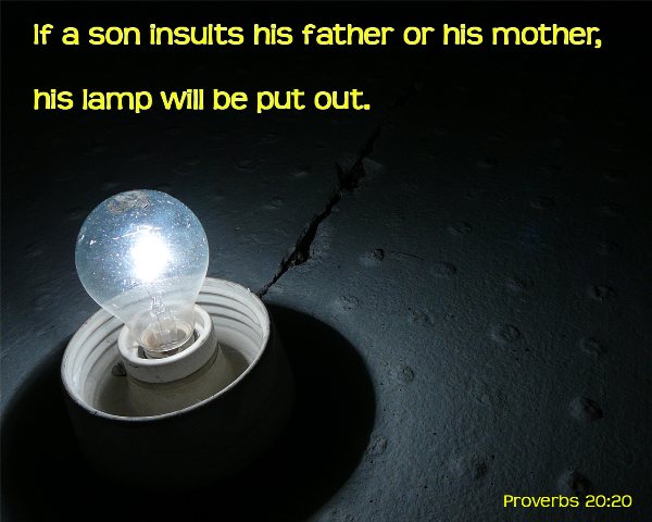 Proverbs 20:20 - If a man curses his father or mother, his lamp will be snuffed out in pitch darkness