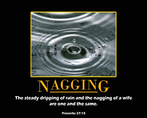 Proverbs 27:15 - A quarrelsome wife is like a constant dripping on a rainy day