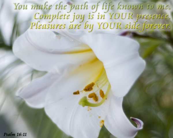 Psalm 16:11 - You have made known to me the path of life; you will fill me with joy in your presence, with eternal pleasures at your right hand